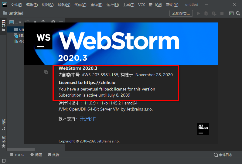 Webstorm2020.3永久激活2089年到期插图-4 webstorm2020.3激活状态查看2